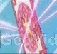 Sakura-Card.gif image by Innover